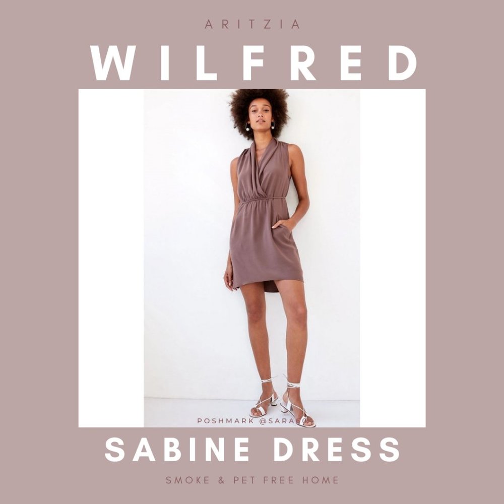 Aritzia Wilfred Sabine Dress